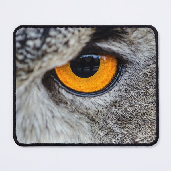 Item preview, One Eyed Eagle Portrait designed and sold by Alpacatata.