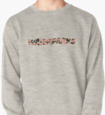 waterparks Pullover