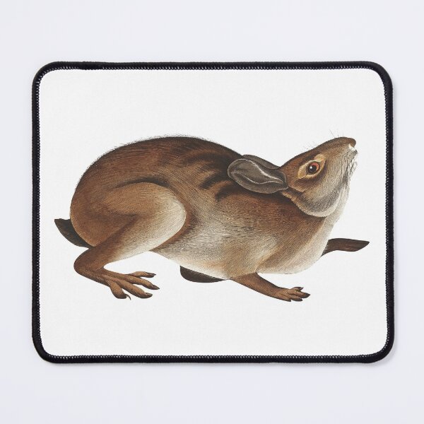 Item preview, Dramatically Suspicious Rabbit designed and sold by SowCow.
