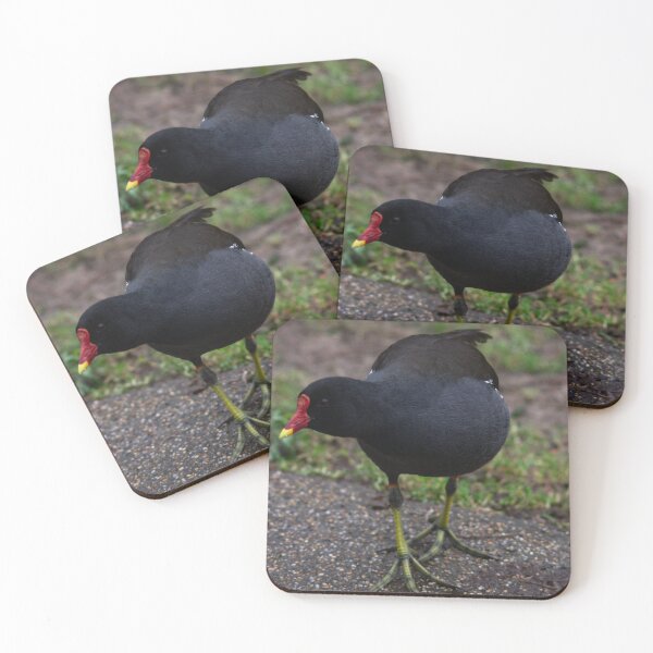Item preview, Inquisitive Moorhen designed and sold by GingerMan2550.