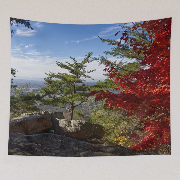 Item preview, House Mountain 34 designed and sold by Phil Perkins.