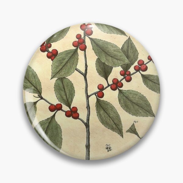 Artikelvorschau, Bartons Winterberry entworfen und verkauft von Lloyd Library & Museum.