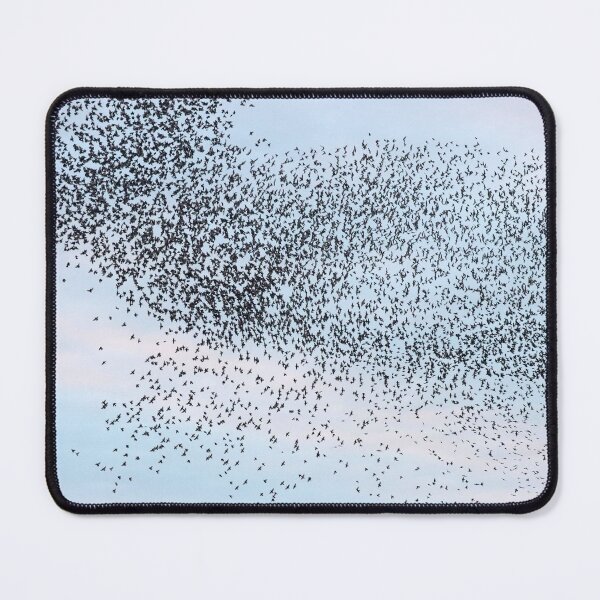 Item preview, Undulating starlings designed and sold by GreyFeatherPhot.