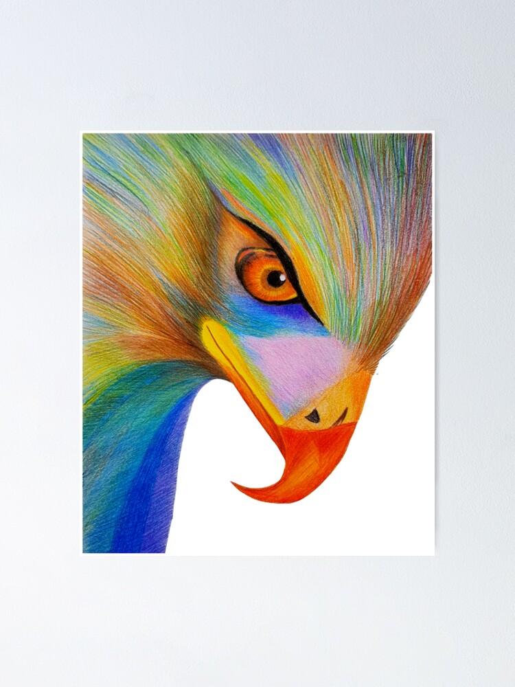 Póster «Dibujo a lápiz de águila colorida» de Wildzhinga | Redbubble