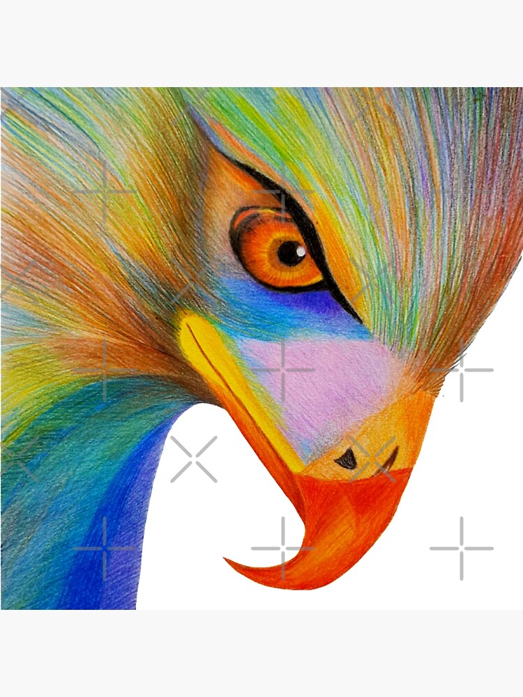 Bolsa de tela «Dibujo a lápiz de águila colorida» de Wildzhinga | Redbubble