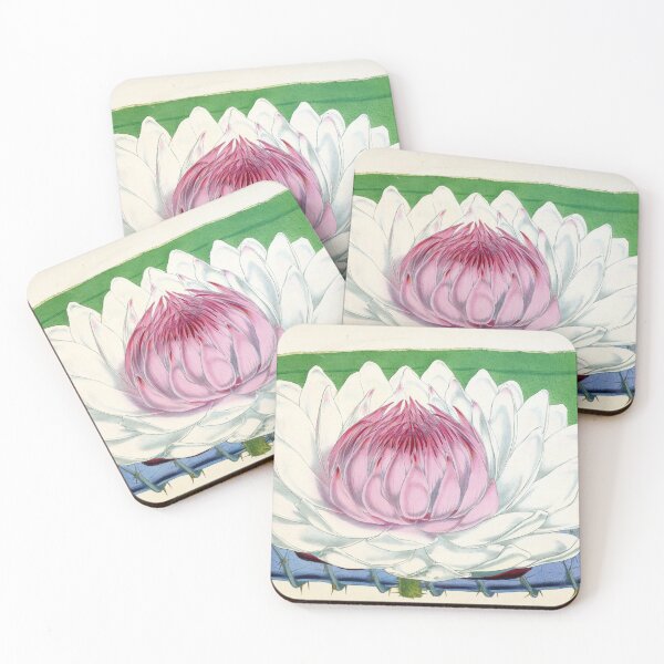 Item preview, Victoria amazonica designed and sold by Lloyd Library & Museum.