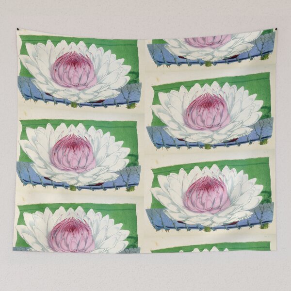Item preview, Victoria amazonica designed and sold by Lloyd Library & Museum.