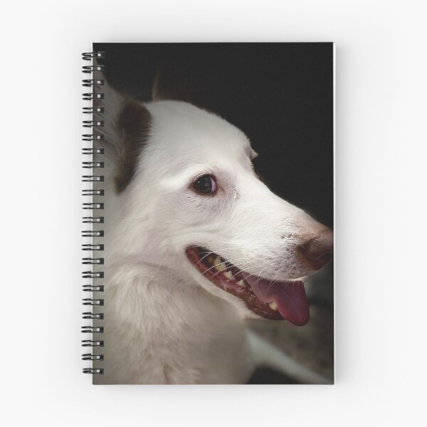 Item preview, Dog Husky,  piebald husky. Taken from a real photo of our husky Balto designed and sold by ArtAlbina.