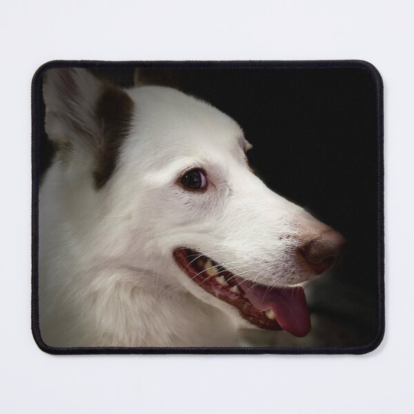 Item preview, Dog Husky, piebald husky. Taken from a real photo of our husky Balto designed and sold by ArtAlbina.