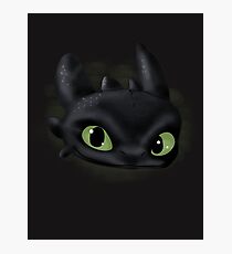 Toothless Photographic Print