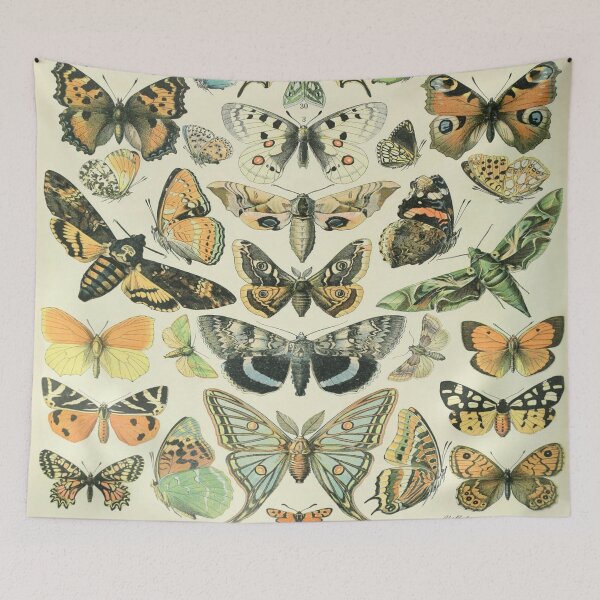 Item preview, Adolphe Millot Papillons A - Millot Butterflies Enhanced Reproduction designed and sold by molamode.