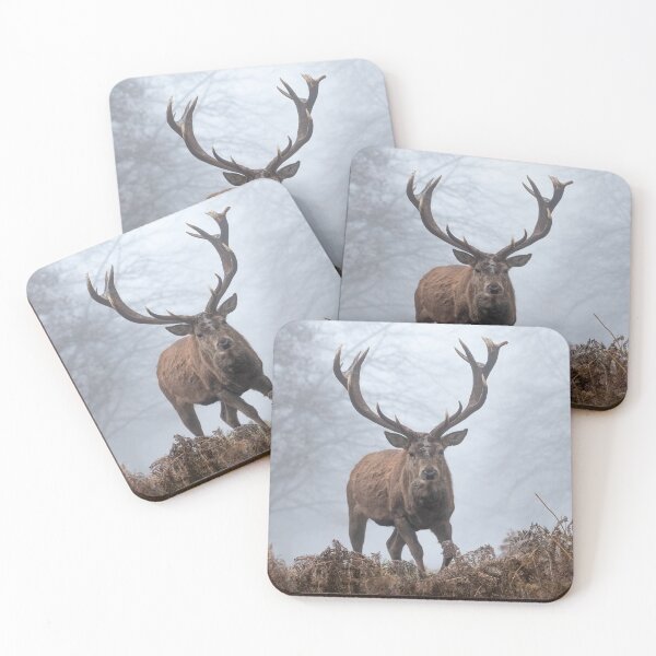 Item preview, Red Deer Stag designed and sold by Steve Liptrot Photography.