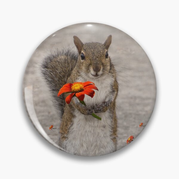 Artikelvorschau, Alles Gute zum Valentinstag süßes Eichhörnchen mit Blume entworfen und verkauft von Zina Stromberg.