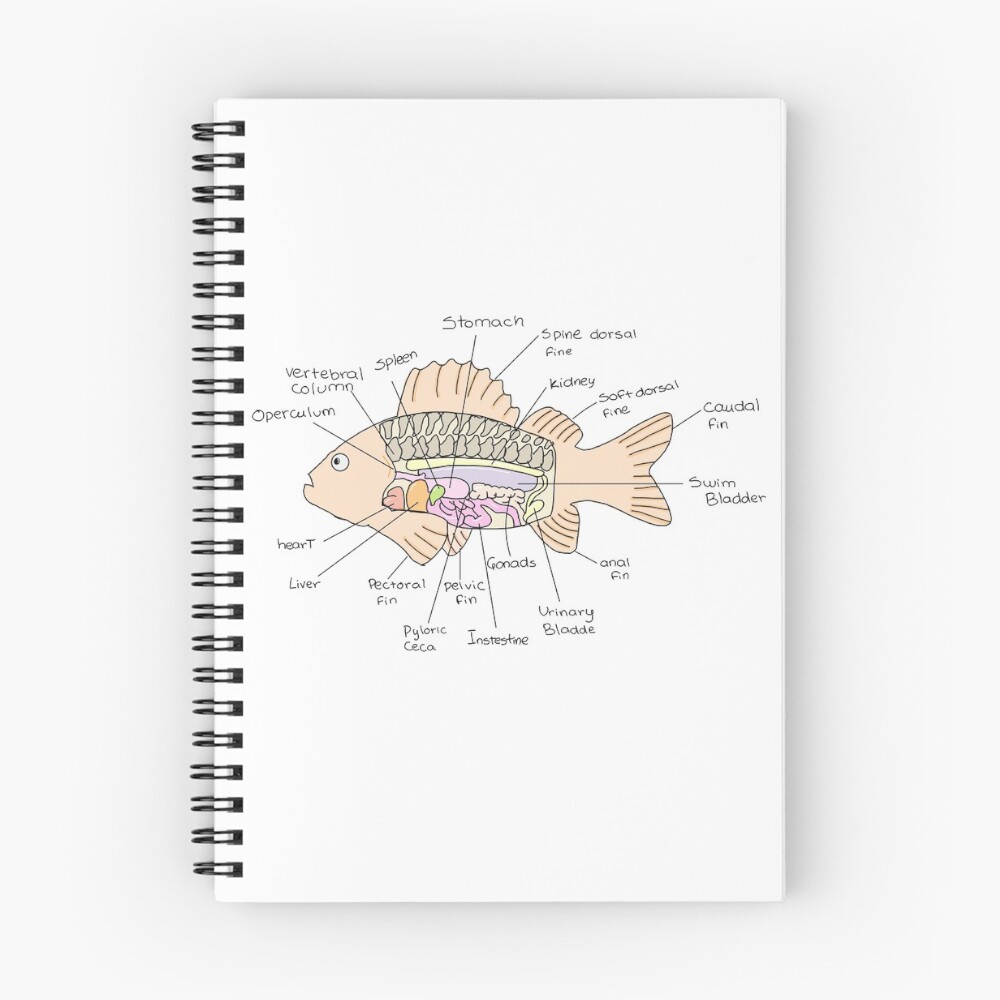 Item preview, Spiral Notebook designed and sold by Vetnotes.