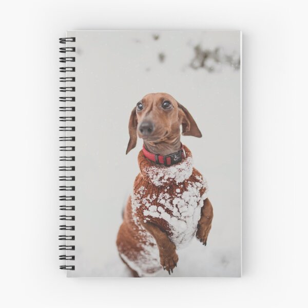 Item preview, Dog walk in the snow designed and sold by grinzeyes.