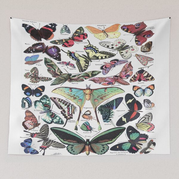 Item preview, Adolphe Millot Papillons Larousse Pour Tous- Butterflies Enhanced Reproduction designed and sold by molamode.