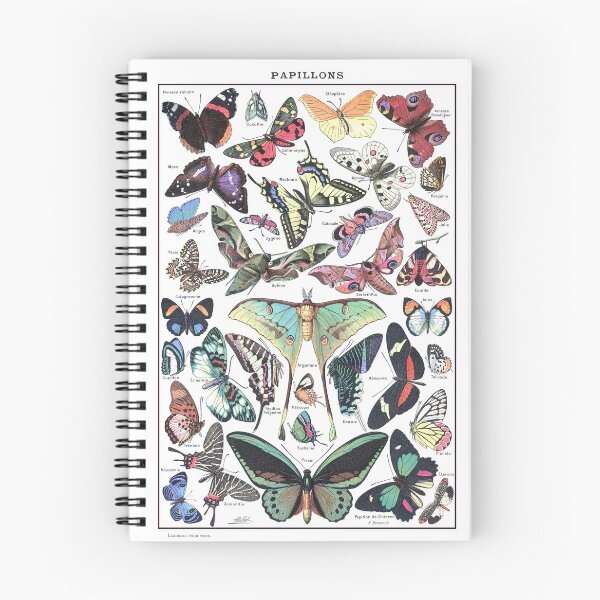 Item preview, Adolphe Millot Papillons Larousse Pour Tous- Butterflies Enhanced Reproduction designed and sold by molamode.