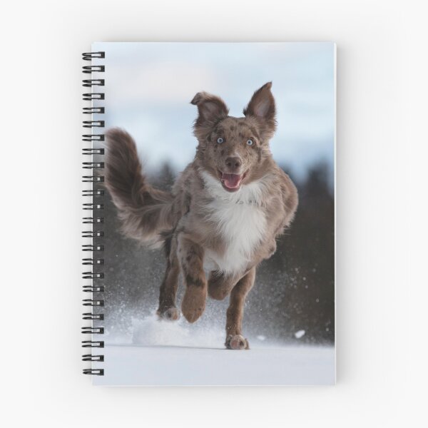 Item preview, Dog walk in the snow designed and sold by grinzeyes.