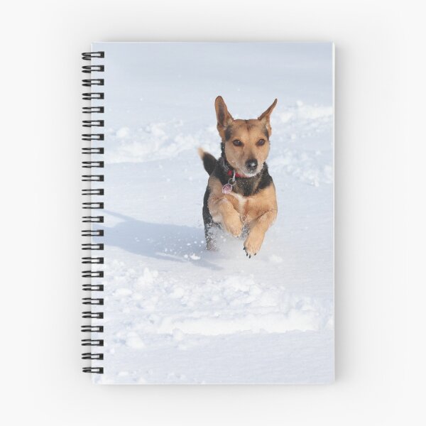 Item preview, Dog walk in the snow designed and sold by grinzeyes.