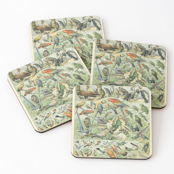 Item preview, Adolphe Millot Oiseaux A - Vintage Birds Enhanced Reproduction designed and sold by molamode.