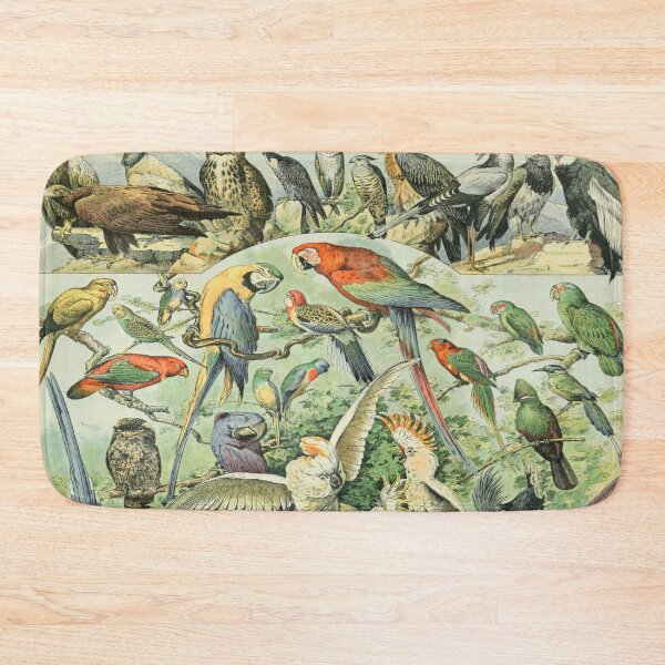 Item preview, Adolphe Millot Oiseaux A - Vintage Birds Enhanced Reproduction designed and sold by molamode.