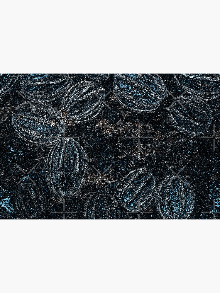 Transparent Jellyfish Poster For Sale By Rgpresdiffart Redbubble