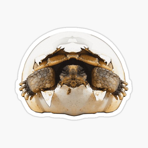 Item preview, Hatching baby turtoise, pretty baby animals, great reptile motifs designed and sold by Kirei-Lily.