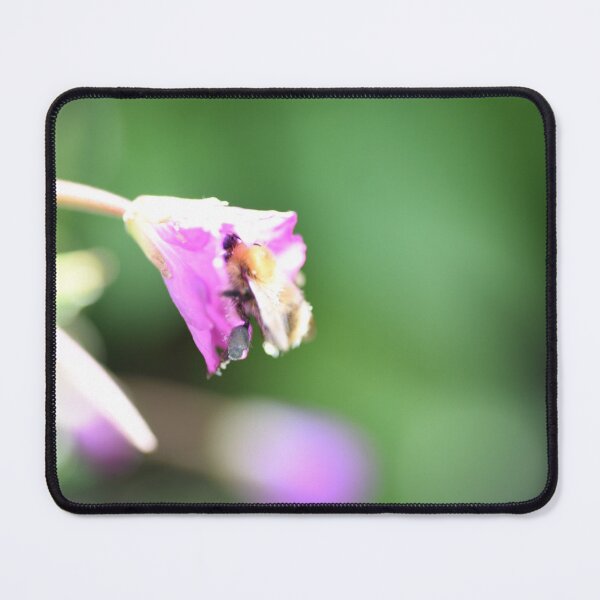 Item preview, Purple bee in flower designed and sold by hobbytimes.