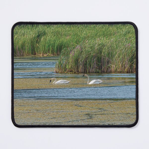 Item preview, Swans in the lake in Autumn - designed and sold by FelCastro.