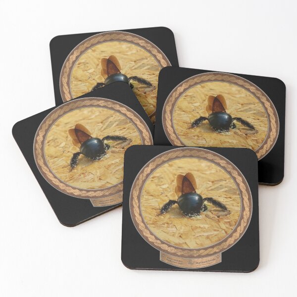 Item preview, Carpenter Bee Posterior designed and sold by Swabcraft.
