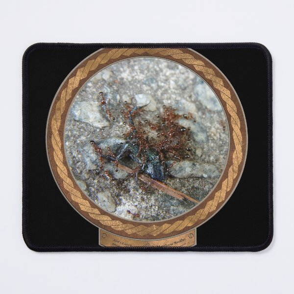 Item preview, Ants Lunch designed and sold by Swabcraft.