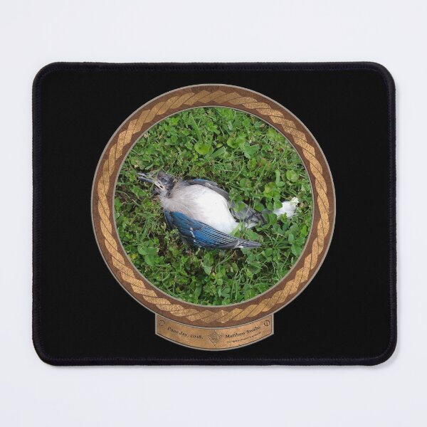 Item preview, Poor Jay designed and sold by Swabcraft.
