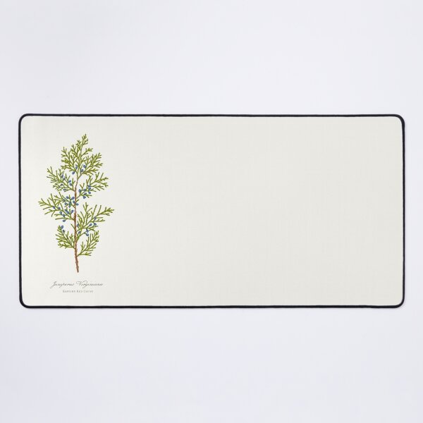 Item preview, Eastern Red Cedar Watercolour Botanical designed and sold by Geo Gia.