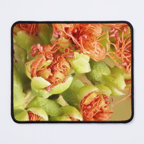 Item preview, Inflorescence in Orange designed and sold by NanaRusty.