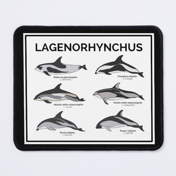Item preview, Genus Lagenorphynchus designed and sold by taylorrowan.