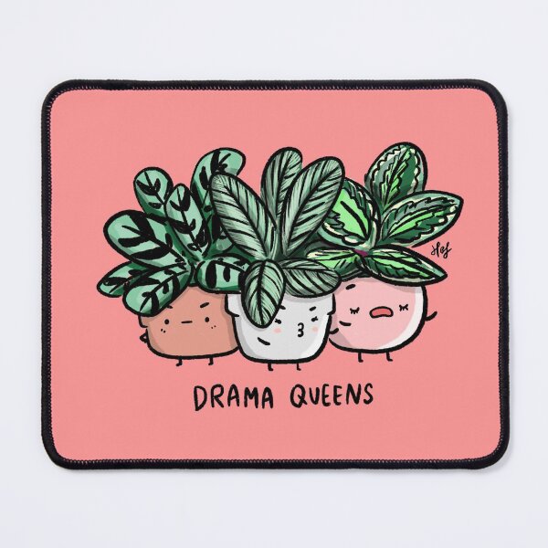 Item preview, Drama Queens House plant designed and sold by homebyfaith.