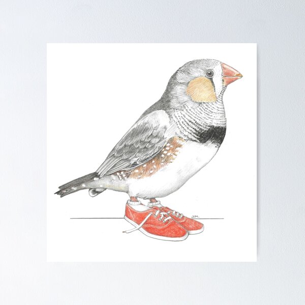 Item preview, Zebra Finch in Canvas Sneakers designed and sold by JimsBirds.