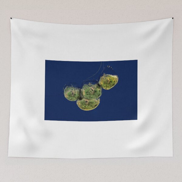 Item preview, "Snowflakes From Heaven" designed and sold by wiscbackroadz.