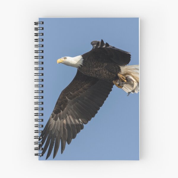 Item preview, American Bald Eagle 2017-4 designed and sold by Thomasyoung.