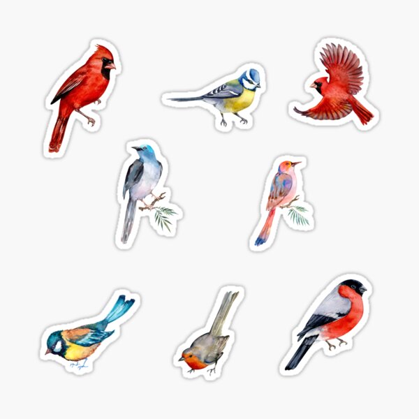 Birds Sticker for Sale by odetojoieee