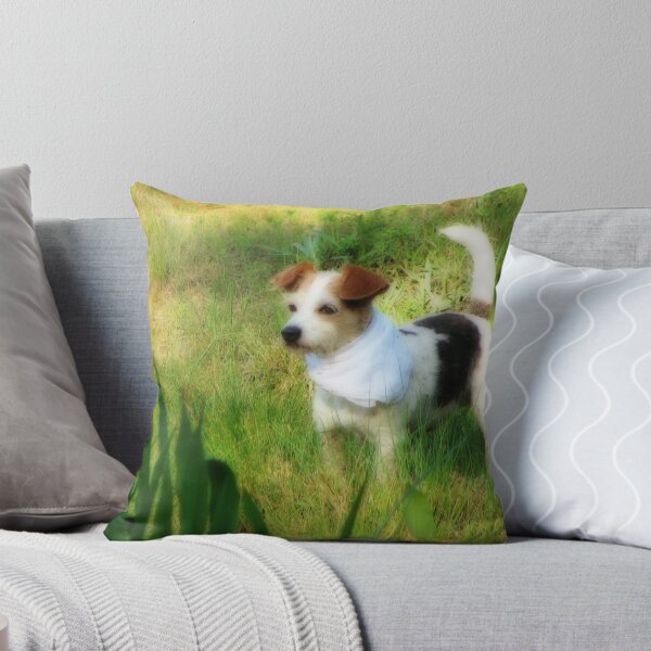 Item preview, My Sweet Little Decker Dog designed and sold by NatureGreeting Cards ©ccwri.