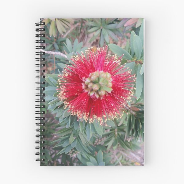 Item preview, Closeup Indian Blanket Flower designed and sold by marvacousins246.