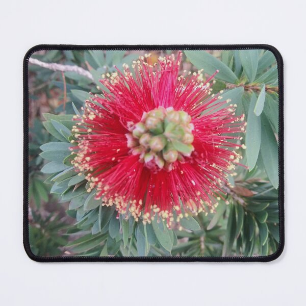 Item preview, Closeup Indian Blanket Flower designed and sold by marvacousins246.
