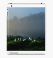 Early morning stroll (please view larger) iPad Case/Skin