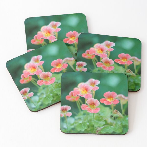 Item preview, Nasturtium flowers photo  designed and sold by MistyLakeArt.