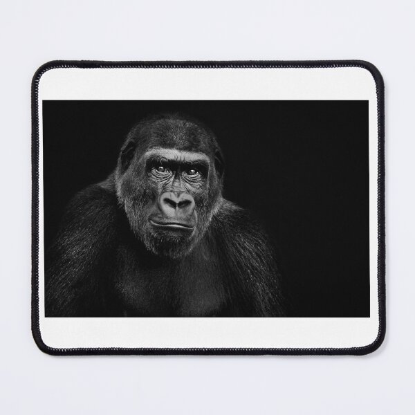 Item preview, Misty gorillas designed and sold by Inspieation.