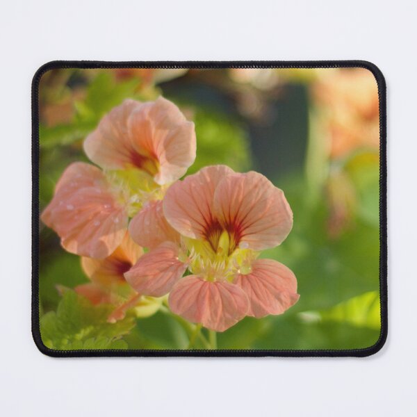 Item preview, Nasturtium designed and sold by MistyLakeArt.
