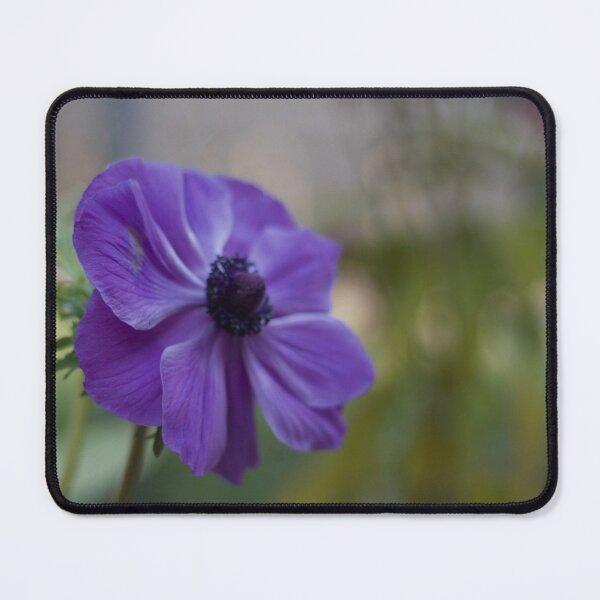 Item preview, Anemone designed and sold by MistyLakeArt.