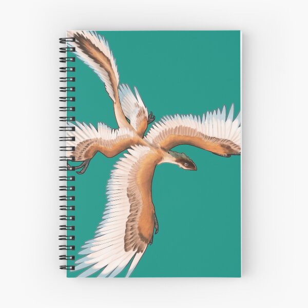 Item preview, Microraptor Gui (Teal) designed and sold by Raptor Goes RAWR! (RadiantGlyph).