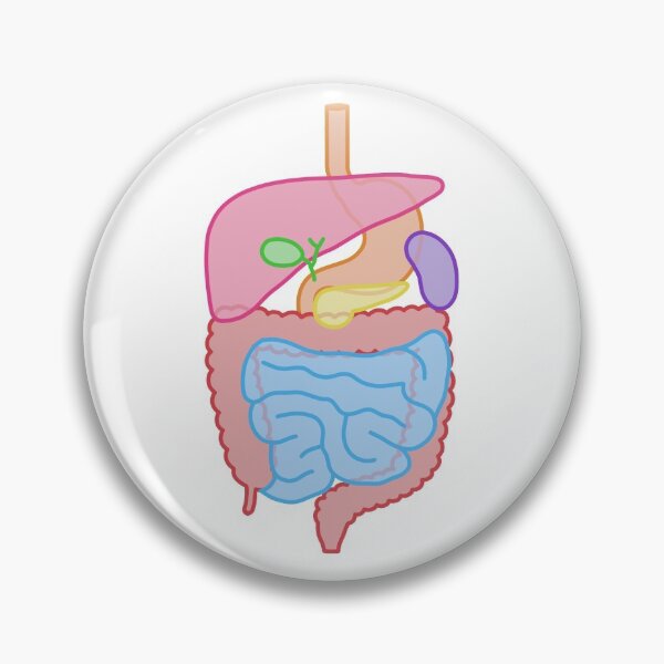 Item preview, GI Tract Simple designed and sold by Apath-Allo.